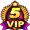 Vip Level 5